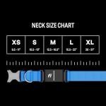 Fi New Series 3+ Smart Dog Collar - GPS Dog Tracker and Activity & New Fitness Monitor, Waterproof, LED Light, Escape Alerts, Nationwide Coverage [Free 6 Month Membership] (Blue, Small)