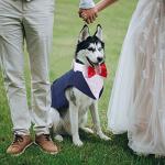 IDOMIK Dog Tuxedo for Small Medium Large Doggie, Detachable Dog Formal Wedding Suit with Tuxedo Vest & Bow Ties Collar & Bandana Scarf Set, Wedding Attire Shirt for Birthday Party Costume