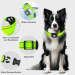 Myiwb GPS Dog Collar Tracker 2-in-1,Reflective Waterproof Adjustable Pet Collar,iOS-Only,Ideal for Dog Tracking pet Tracker,for Small to Large Dogs,Real-Time Tracking,No Monthly Fees(Green,Large)