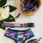Lucky Love Dog, Matching Dog Collar & Leash Set for Female Dogs, Soft, Adjustable, Safe for Training and Walking, Black & Purple Floral Print, Primrose Combo, Small
