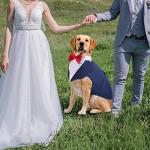 IDOMIK Dog Tuxedo for Small Medium Large Doggie, Detachable Dog Formal Wedding Suit with Tuxedo Vest & Bow Ties Collar & Bandana Scarf Set, Wedding Attire Shirt for Birthday Party Costume
