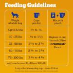 Pedigree Complete Nutrition Adult Dog Food, Steak & Veggies