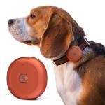 Molly&Cody GPS Dog/Cat Tracker, Multi-Mode GPS/Bluetooth, Real-Time Tracking for Pet Collar with Virtual Fence, Long Battery, IP67 Waterproof, Health Monitor, 1-Year Record, iOS/Android App (Red)