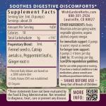 WishGarden Herbs Digestive Rescue GI Normalizer - All-Natural Herbal & Organic Digestive Relief Tincture with Peppermint Leaf, Ginger Root and Fennel Seed, Quickly Soothes Digestive Discomforts, 4oz