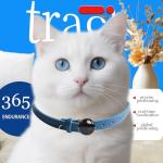 Pet Tracker for Cats & Kittens –No Subscription Item Locator for Key Accurate Real-Time Location, Perfect for Indoor & Outdoor Cats, No Monthly Fees