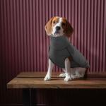 ROZKITCH Dog Winter Coat Soft Pullover Pajamas, Pet Windproof Warm Cold Weather Jacket Vest Cozy Onesie Jumpsuit Apparel Outfit Clothes for Small, Medium, Large Dogs Walking Hiking Travel Sleep Black