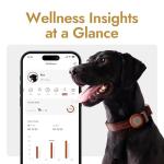 Molly&Cody GPS Dog/Cat Tracker, Multi-Mode GPS/Bluetooth, Real-Time Tracking for Pet Collar with Virtual Fence, Long Battery, IP67 Waterproof, Health Monitor, 1-Year Record, iOS/Android App (Red)