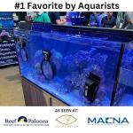 FL!PPER Flipper DeepSee Viewer MAX 5" Black - Coral and Fish Magnifier for Reef Tank and Freshwater Aquarium Photography and Videography - Magnetic Magnifying Glass