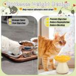 Teenyyou 2 Pcs Elevated Ceramic Cat Bowls Whisker Friendly Raised Cat Food and Water Dishes Wide Feeding Bowls for Flat Faced Kittens Raised Pet Dishes for Easy Feeding(Red Yellow)