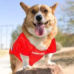 NFL Tampa Bay Buccaneers Dog Jersey, Size: X-Small. Best Football Jersey Costume for Dogs & Cats. Licensed Jersey Shirt.