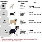 Birthday Girl Dog Tulle Dress - Dog Clothes Holiday Festival Dog Dresses Puppy Party Costumes Doggie Shirts Cat Outfits(X-Small,Red)