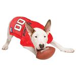 NFL Tampa Bay Buccaneers Dog Jersey, Size: X-Small. Best Football Jersey Costume for Dogs & Cats. Licensed Jersey Shirt.