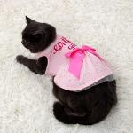 Birthday Girl Dog Tulle Dress - Dog Clothes Holiday Festival Dog Dresses Puppy Party Costumes Doggie Shirts Cat Outfits(X-Small,Red)