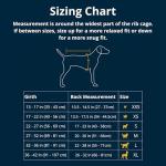 Ruffwear, Quinzee Dog Winter Jacket, Insulated Packable Puffer Vest with Leash Portal, Reflective Trim & Weather‑Resistant Shell, Adjustable Fit Coat, Harness Compatible, Obsidian Black, Medium
