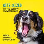 Crazy Dog Mini Train-Me! Training Treats 4 oz. Bag, Bacon Flavor, with 200 Treats per Bag, Recommended by Dog Trainers