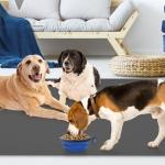 DGitaor Dog Food Mat for Food and Water, 2Packs Waterproof Silicone Pet Feeding Mat for Floors with Collapsible Cat Dog Bowl for Travel Extra Large 39.4"x29.5" Dark Gray