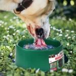 Farm Innovators 1.5-Gal Heated Pet Water Bowl for Dogs & Cats, Anti-Chew Cord, 60W, Green