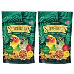 LAFEBER'S Tropical Fruit Nutri-Berries Conure Food, Made with Non-GMO and Human-Grade Ingredients, for Conures (Tropical Fruit 10 oz Pack of 2)