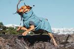 Hurtta Expedition Parka, Winter Dog Coat, Bilberry, 22 in