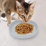Cat Bowls Silicone Dog Bowls, Non Slip Dog Food Bowls Cat Feeding Bowls, Drinking Bowl Pet Bowl for Dry Food and Wet Food, 10 OZ/330ML Water or Food Bowl for Small Pets, Gray 2pcs