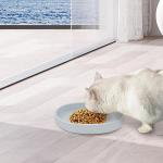 Cat Bowls Silicone Dog Bowls, Non Slip Dog Food Bowls Cat Feeding Bowls, Drinking Bowl Pet Bowl for Dry Food and Wet Food, 10 OZ/330ML Water or Food Bowl for Small Pets, Gray 2pcs