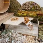 Niteangel Animal Sand-Bath Box: - Acrylic Critter's Sand Bath Shower Room & Digging Sand Container for Hamsters Mice Lemming Gerbils or Other Small Pets (Rectangle, Burlywood)