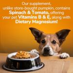 Fruitables Pumpkin Dog Digestive Fiber Supplement 15 oz