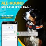 PawGaze Dog Tracker Collar, No Monthly Fee Cat Tracker Collar(Only iOS), Compatible with Apple FindMy App, Reflective FinderTag Smart Collars, Anti-Lost, Key Finder for Pets/Items（NOT GPS）