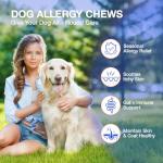 MaxHemp Dog Allergy Relief- 60PCS Dog Allergy Chews Itching Skin Relief for Skin & Coat, Anti Itch,Hot Spots Treatment - Canine Immune Health Supplement