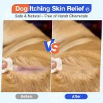 MaxHemp Dog Allergy Relief- 60PCS Dog Allergy Chews Itching Skin Relief for Skin & Coat, Anti Itch,Hot Spots Treatment - Canine Immune Health Supplement
