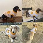 D Doggy Star Dachshund Sweater for Dogs Warm Fleece Clothes Winter Coat (S,Mustard Pocket)