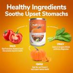 Fruitables Pumpkin Dog Digestive Fiber Supplement 15 oz