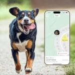 Fi New Series 3+ Smart Dog Tracker Collar [12 Month Membership Included] GPS Tracker for Dogs with Health & Behavior Monitoring, Escape Alerts, Waterproof, LED, Apple Watch Compatible (Gray, Large)