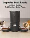 Automatic Cat Feeder for Two Cats, 6 Meals