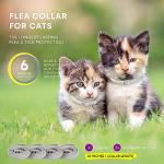 Flea and Tick Prevention Collars for Cats: Effective Pet Flea & Tick Treatment for Cats - Waterproof Adjustable Flea Tick Collars for Large & Small Cat, Outdoor Fleas Ticks Control for Kittens 4 Pack