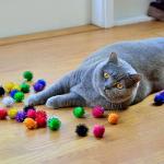 Youngever 30 Pack Sparkle Balls - Interactive Cat & Kitten Toys