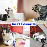 QUVOVID Cat Spring Toys 20 Packs Colorful Plastic Spring Coils Attract Cats to Swat, Bite, Cat Toys for Indoor Cats for All Breeds