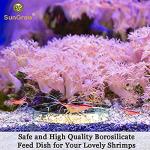 SunGrow Tough Borosilicate Glass Shrimp & Gecko Feed Dish, Wide and Deep, Transparent Basin for Shrimp Food, Dog & Cat Medicine Holder