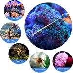 Boao 2 Sets Long Pipette for Fish Tank Coral Food Feeder Long Syringe Aquarium Coral Feeding Tube for Marine Fish Reef Aquatic Plant Spider Snake Lizard(Blue)