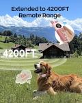 Delupet Dog Training Collar with Remote - Gentle Bark Control Device with 3 Training Modes & 16 Sensitivity Levels, Rechargeable Waterproof Anti Bark Collar for Small Medium Large Dogs