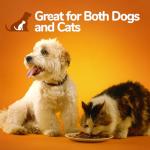 Fruitables Pumpkin Dog Digestive Fiber Supplement 15 oz