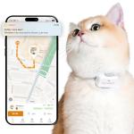 Pawfit Lite for Cats 4g GPS Tracker | Real Time Tracking | Activity Monitoring |Location History | Unlimited Range | Safety Collar Included | Simply White