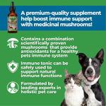 Animal Essentials Mushroom Defense - Immune System Support for Dogs & Cats, Natural Antioxidant, Mushrooms, for All Ages, Organic Herbs - 2 Fl Oz