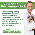 Animal Essentials Mushroom Defense - Immune System Support for Dogs & Cats, Natural Antioxidant, Mushrooms, for All Ages, Organic Herbs - 2 Fl Oz