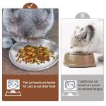Fhiny 12 PCS Stainless Steel Cat Dish Set, 5.5", Wide Whisker Friendly Cat Bowls Shallow Kitten Feeding Plate Replacement Basic Small Pet Bowl Metal Flat Cat Dish for Stray Cats Dogs (5.5" Dia)