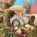 Niteangel Ceramic Hamster Habitat Hideout: - Hideaway House for Syrian Dwarf Hamster Mice Gerbils Lemmings or Other Similar-Sized Small Pet (Stone-Shaped - for Syrian)