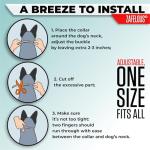 Flea and Tick Prevention for Dogs - Flea Collar - 2 Count - Adjustable