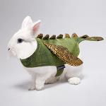 cyeollo Small Animal Bunny Costume Dinosaur Cosplay Halloween Pet Outfits for Rabbit Small Tiny Puppy Dog & Kitten 2lb to 4lb