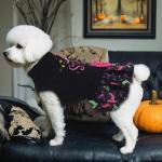 CuteBone Halloween Dog Sweater Dress Spooky Embroidery Turtleneck Puppy Sweater with Bowtie Harness Hole Pullover Winter Dress for Small Dogs