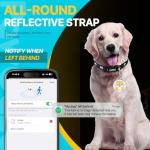 Cat Tracke Collar-Cat GPS Tracker-GPS Tracker for Cats-Pet Tracker for Cats| Android and iOS Universal | No Monthly Fee | Waterproof | Works with Any Collar